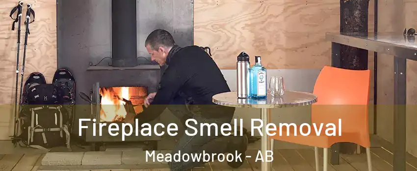  Fireplace Smell Removal Meadowbrook - AB