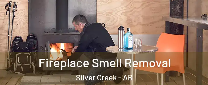  Fireplace Smell Removal Silver Creek - AB