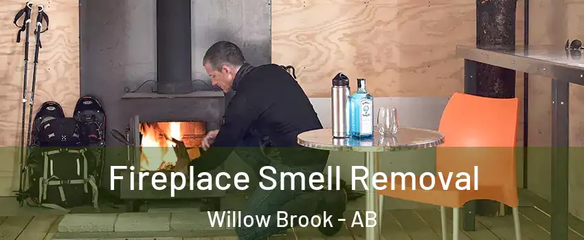  Fireplace Smell Removal Willow Brook - AB