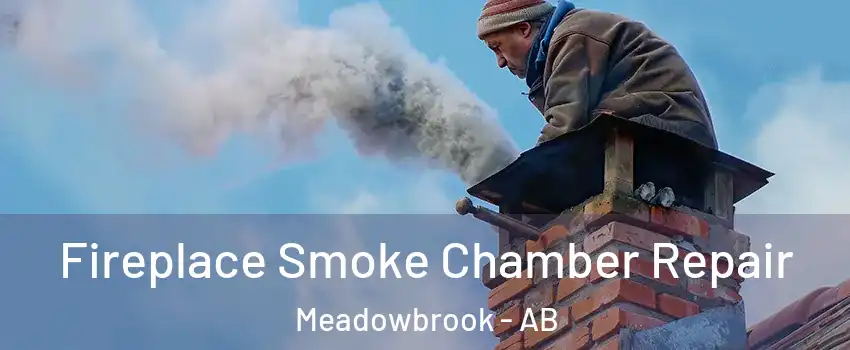  Fireplace Smoke Chamber Repair Meadowbrook - AB