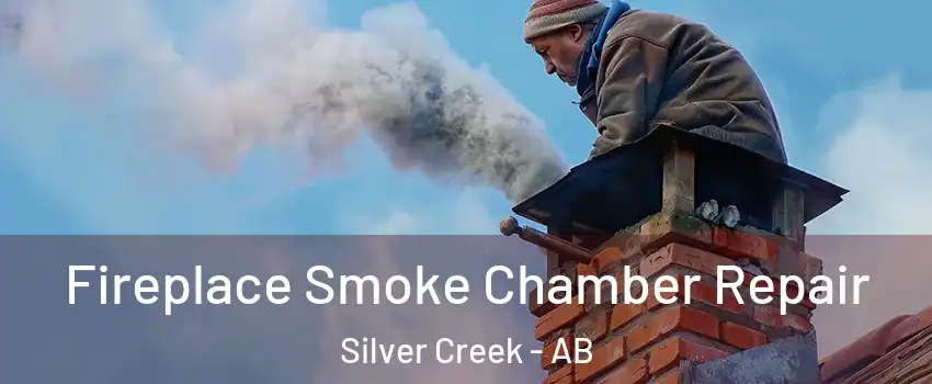 Fireplace Smoke Chamber Repair Silver Creek - AB