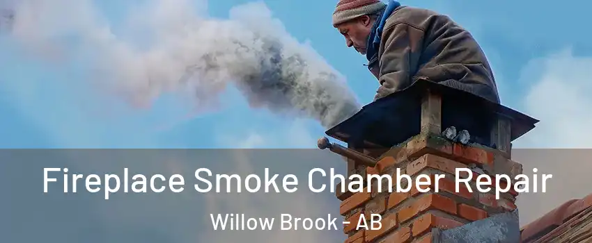  Fireplace Smoke Chamber Repair Willow Brook - AB