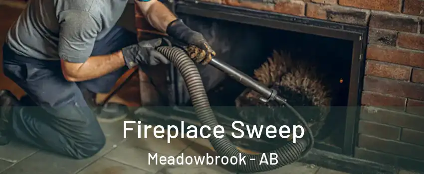  Fireplace Sweep Meadowbrook - AB