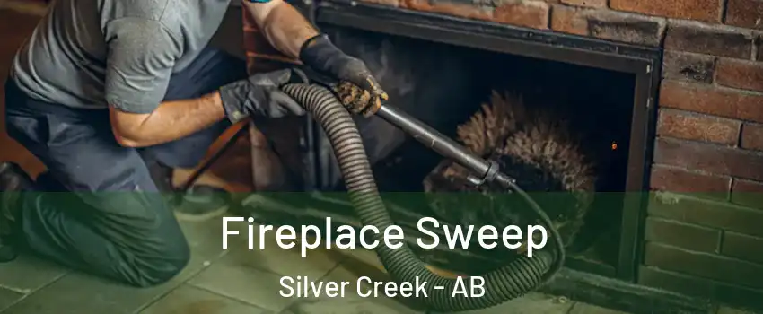  Fireplace Sweep Silver Creek - AB