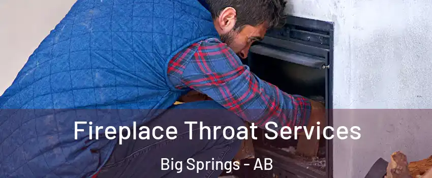  Fireplace Throat Services Big Springs - AB