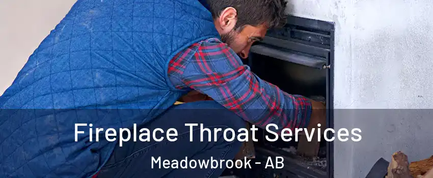  Fireplace Throat Services Meadowbrook - AB