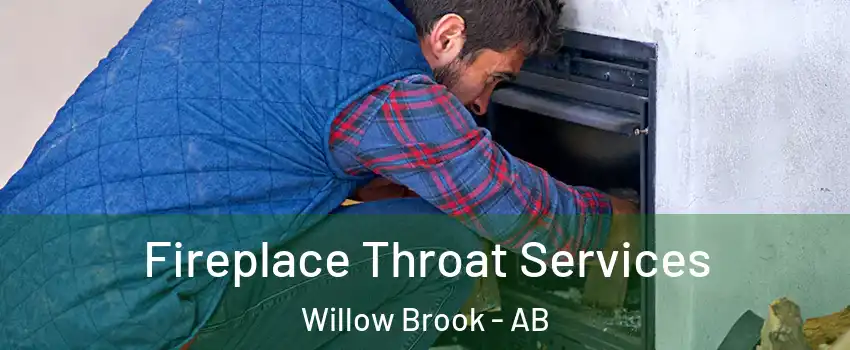  Fireplace Throat Services Willow Brook - AB
