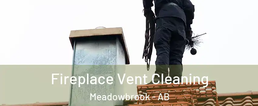  Fireplace Vent Cleaning Meadowbrook - AB