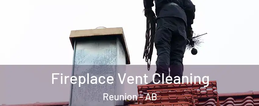  Fireplace Vent Cleaning Reunion - AB