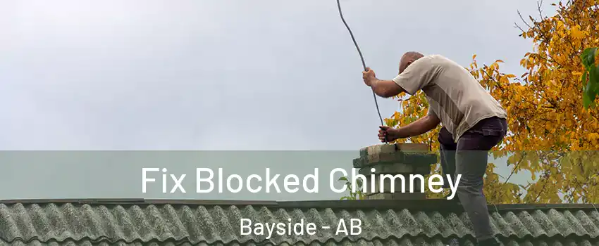  Fix Blocked Chimney Bayside - AB