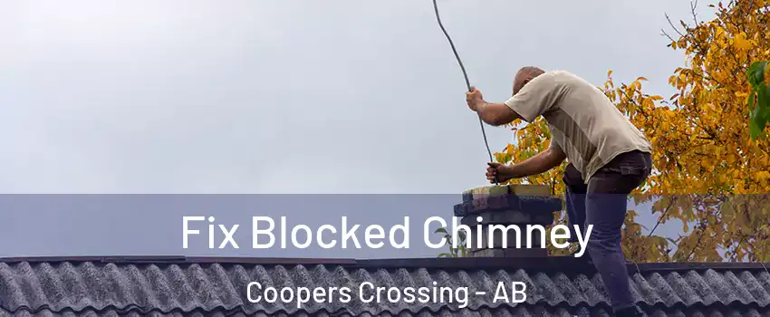  Fix Blocked Chimney Coopers Crossing - AB