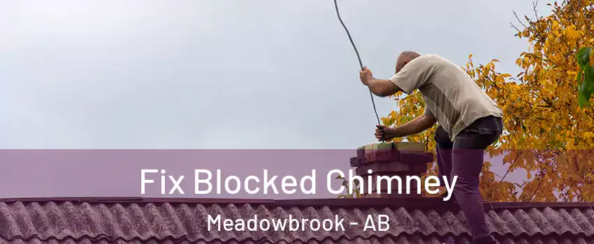  Fix Blocked Chimney Meadowbrook - AB