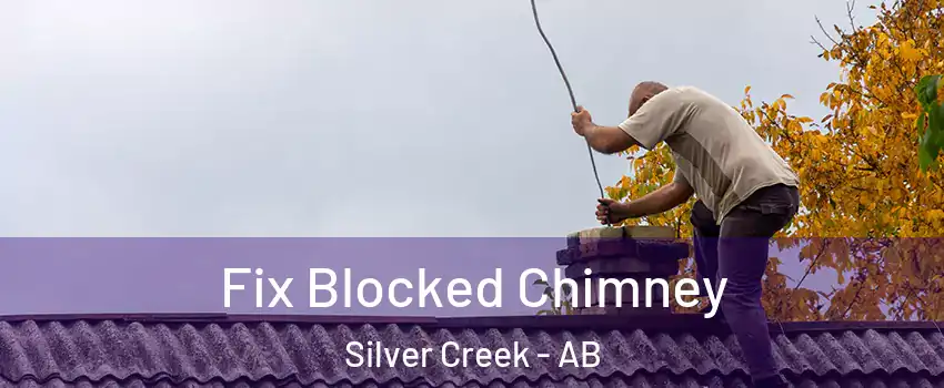  Fix Blocked Chimney Silver Creek - AB