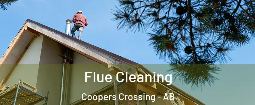  Flue Cleaning Coopers Crossing - AB
