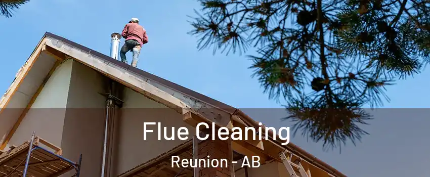  Flue Cleaning Reunion - AB