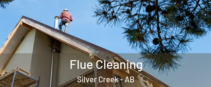  Flue Cleaning Silver Creek - AB