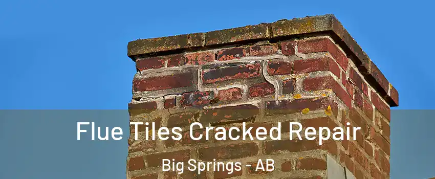  Flue Tiles Cracked Repair Big Springs - AB