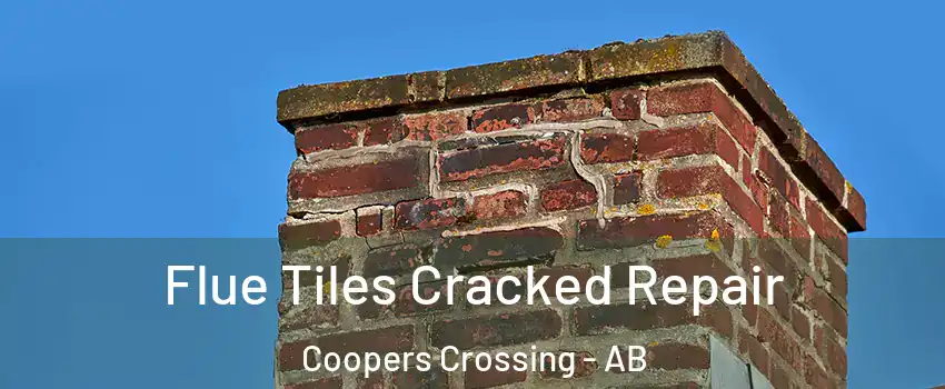  Flue Tiles Cracked Repair Coopers Crossing - AB
