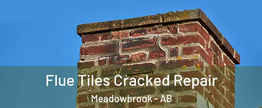  Flue Tiles Cracked Repair Meadowbrook - AB