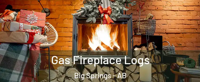  Gas Fireplace Logs Big Springs - AB