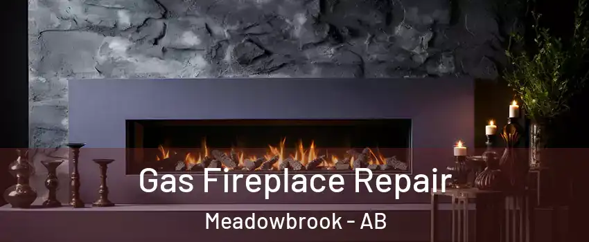  Gas Fireplace Repair Meadowbrook - AB