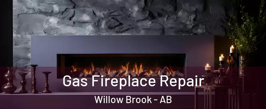  Gas Fireplace Repair Willow Brook - AB