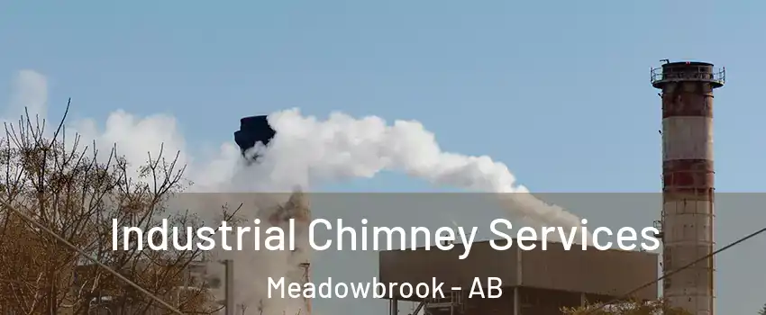  Industrial Chimney Services Meadowbrook - AB