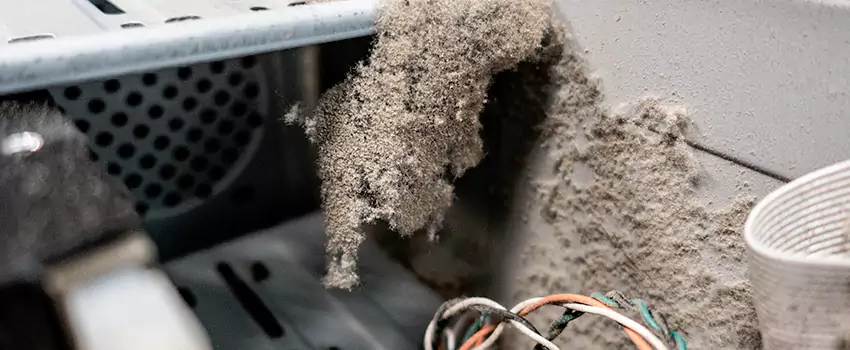 Clogged Dryer Vent Lint Cleaning in Meadowbrook, Alberta