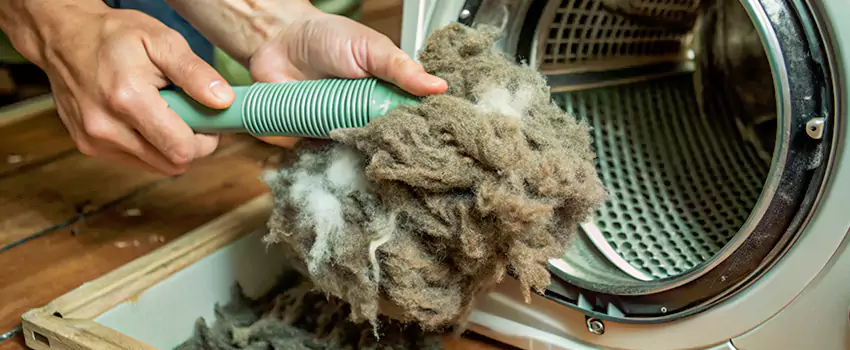 Best Dryer Lint Removal Company in Kings Heights, Alberta
