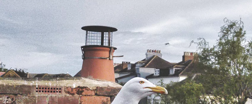 Chimney Cap Bird Guard Repair in Airdrie, Alberta