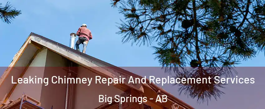 Leaking Chimney Repair And Replacement Services Big Springs - AB