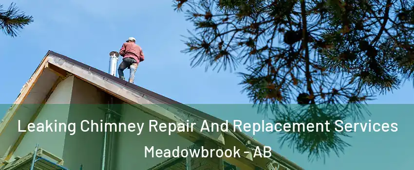  Leaking Chimney Repair And Replacement Services Meadowbrook - AB