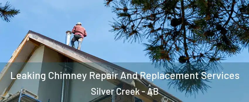  Leaking Chimney Repair And Replacement Services Silver Creek - AB