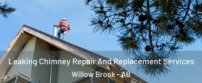  Leaking Chimney Repair And Replacement Services Willow Brook - AB