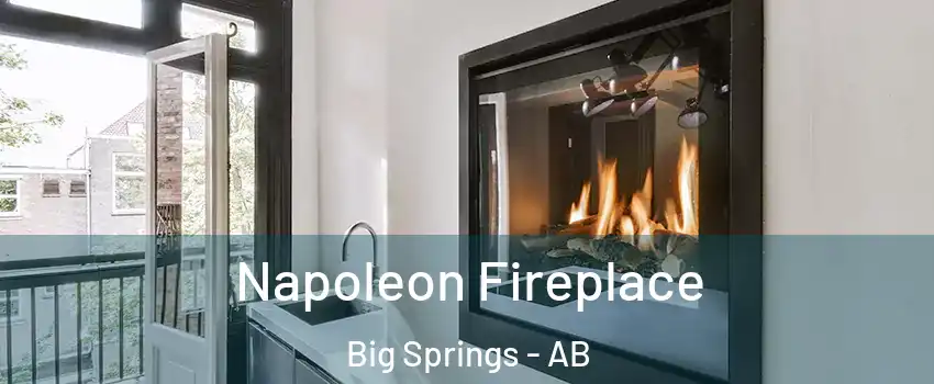 Napoleon Fireplace Big Springs - AB