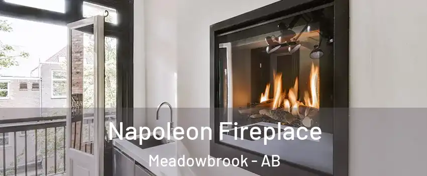  Napoleon Fireplace Meadowbrook - AB