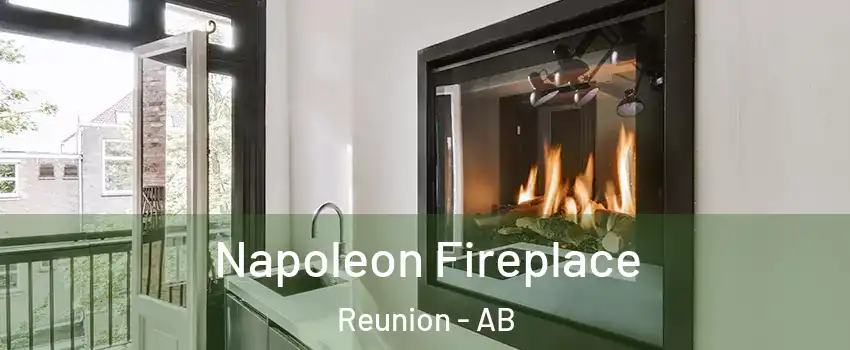  Napoleon Fireplace Reunion - AB