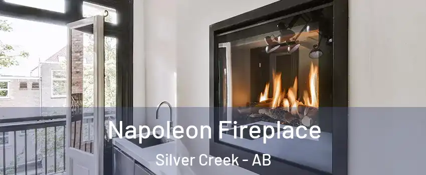  Napoleon Fireplace Silver Creek - AB