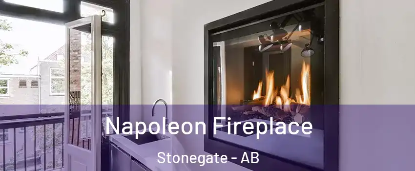  Napoleon Fireplace Stonegate - AB