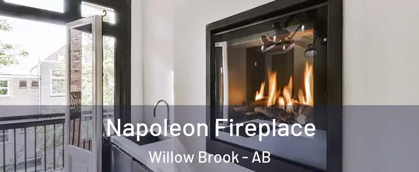  Napoleon Fireplace Willow Brook - AB