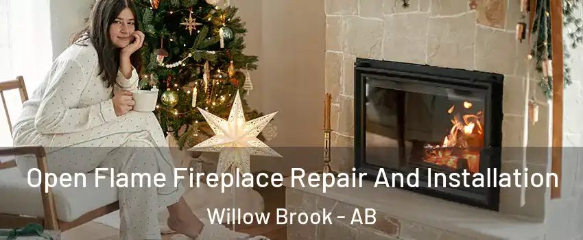  Open Flame Fireplace Repair And Installation Willow Brook - AB