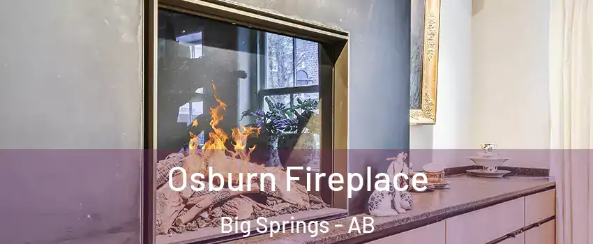  Osburn Fireplace Big Springs - AB