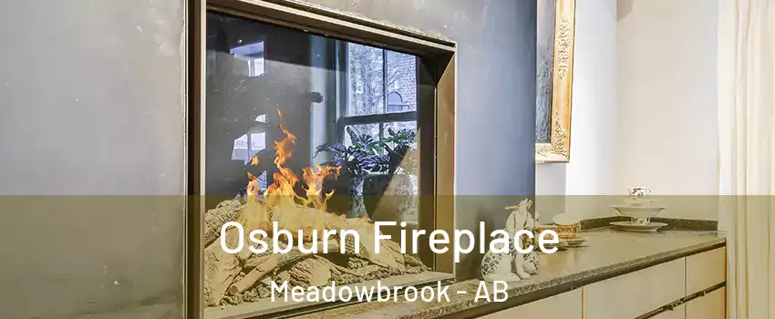  Osburn Fireplace Meadowbrook - AB
