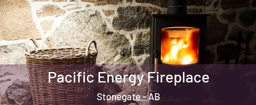 Pacific Energy Fireplace Stonegate - AB