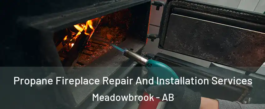 Propane Fireplace Repair And Installation Services Meadowbrook - AB