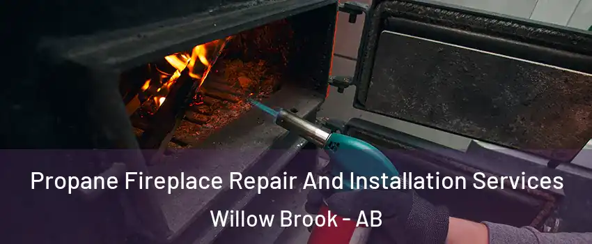 Propane Fireplace Repair And Installation Services Willow Brook - AB