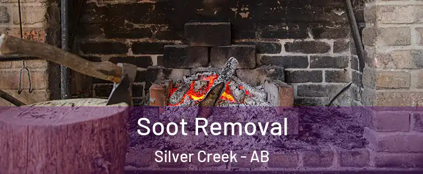  Soot Removal Silver Creek - AB