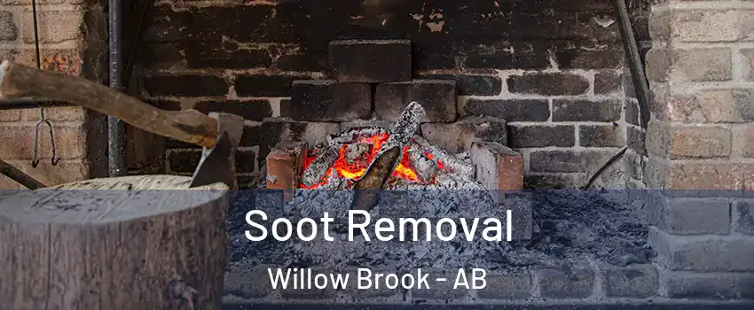  Soot Removal Willow Brook - AB