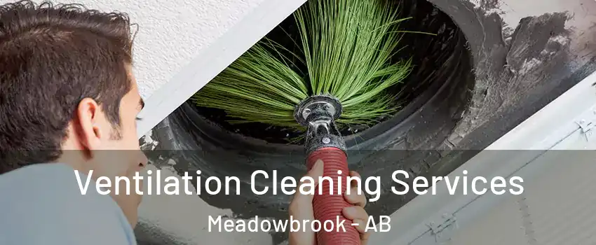  Ventilation Cleaning Services Meadowbrook - AB