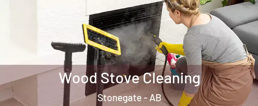  Wood Stove Cleaning Stonegate - AB